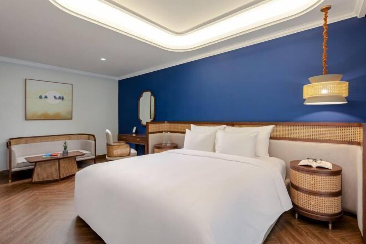 Literie hypoallergénique, couette en duvet d'oie, minibar