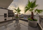 A balcony with two large potted plants, a metal railing, and a view of the cityscape during sunset.