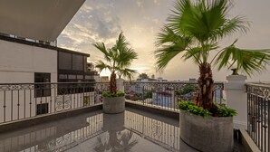 A balcony with two large potted plants, a metal railing, and a view of the cityscape during sunset.