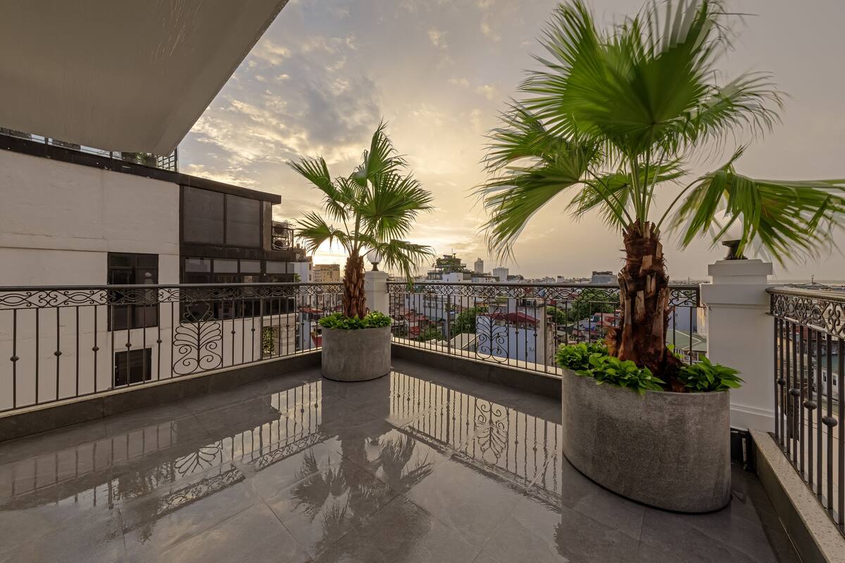 Un balcon agrémenté de deux grands pots de plantes, une rambarde en métal et une vue sur le paysage urbain au coucher du soleil.