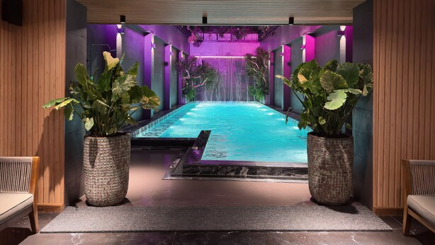A spa area with a pool, wooden paneling, and large potted plants.