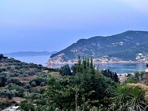 Surrounded by lush vegetation and overlooking the sea, this coastal landscape offers breathtaking views of a majestic mountain.