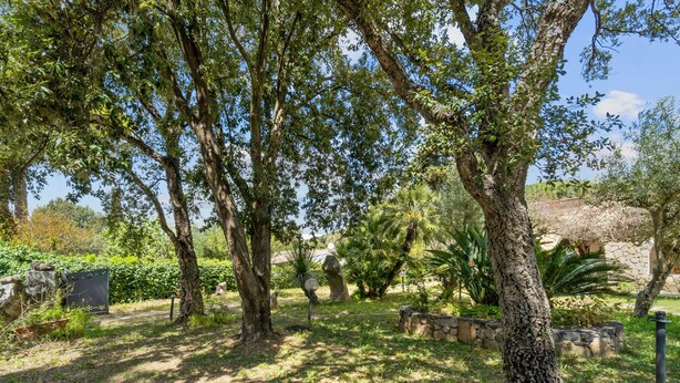 Ein Garten mit Bäumen, einer Steinmauer und einem Weg.