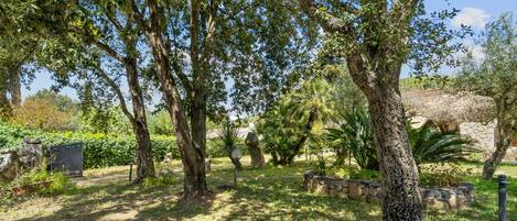 Área da propriedade