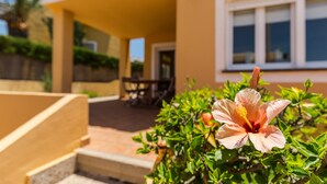 A building with a covered patio, a hibiscus flower in the foreground, and a window with a view of the outside.