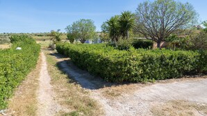 A rural landscape with a dirt path, green hedges, and trees. - Vacation Home "San Lorenzo" with Private Terrace, Private Garden and A/C (San Lorenzo)