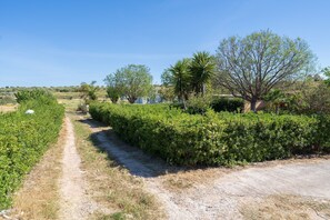 Property grounds - Vacation Home "San Lorenzo" with Private Terrace, Private Garden and A/C (San Lorenzo)