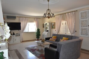 TV, DVD player, table tennis