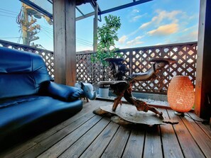 テラス / パティオ