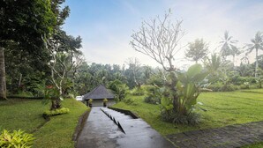 A pathway leading to a house surrounded by lush greenery and palm trees. - Kelusa Hill (Payangan)