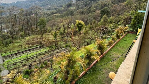 Un balcó amb vistes a un jardí aterrassat i a les muntanyes llunyanes.