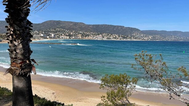 A beach with a palm tree and sparse vegetation in the foreground, a clear blue sea, and a distant town with buildings on a hillside. - Charming 1BR Apartment, Garden View, Near Beach & Shops, Parking Available (Bormes-les-Mimosas)