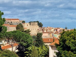 Unclassified image, 2 of 9, button