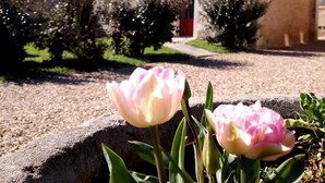 Un bâtiment en pierre avec une porte rouge, entouré de verdure et bordé d’un chemin de gravier.