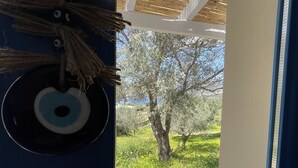 Ein Zimmer mit Blick auf Olivenbäume und einen klaren Himmel.