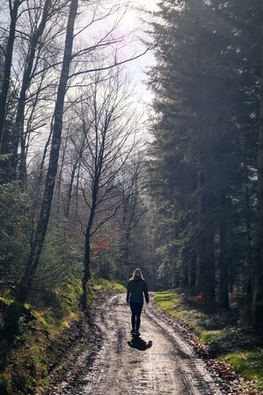 Une personne marchant sur un sentier boueux dans une zone boisée.