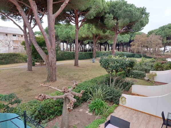 Terrain de l’hébergement 