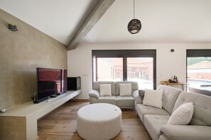 TV, fireplace, books