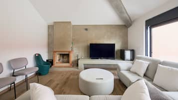 TV, caminetto, libri