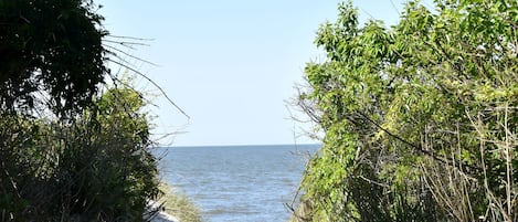 Playa en los alrededores