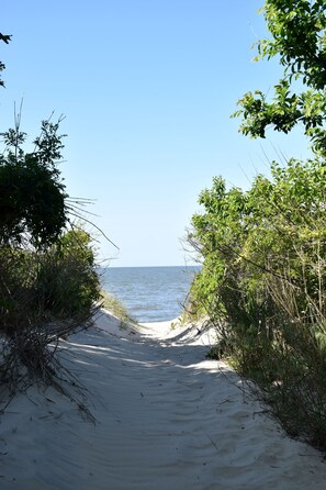 A sandy beach path leading to the ocean, surrounded by dense foliage. - Classic Lewes Beach Cottage (Lewes)
