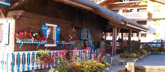 1/2 chalet  - Sous le Pont B