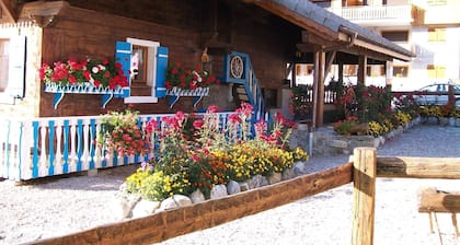 1/2 chalet - Sous le Pont B