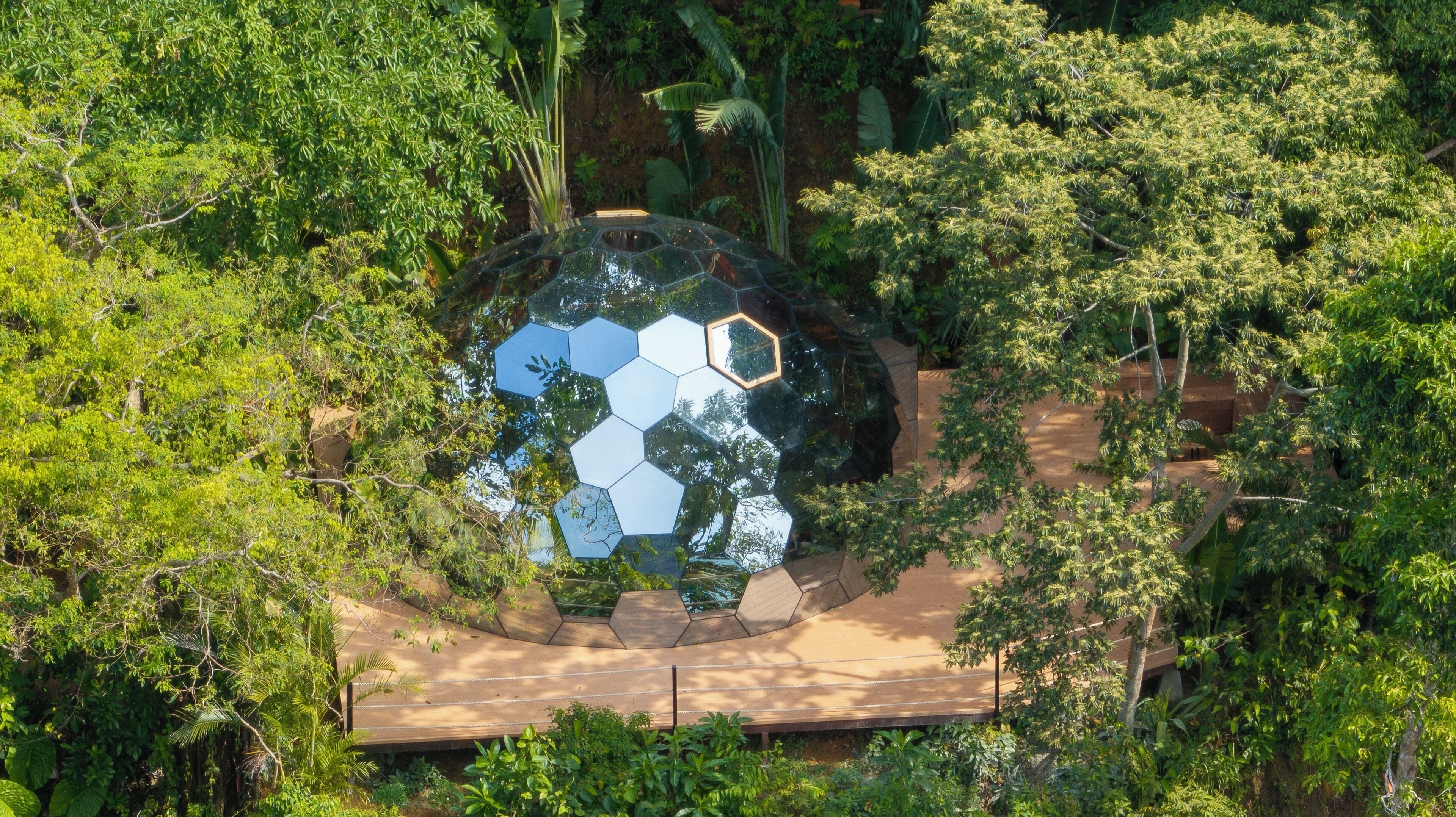 A spherical structure with a hexagonal pattern, surrounded by dense greenery.