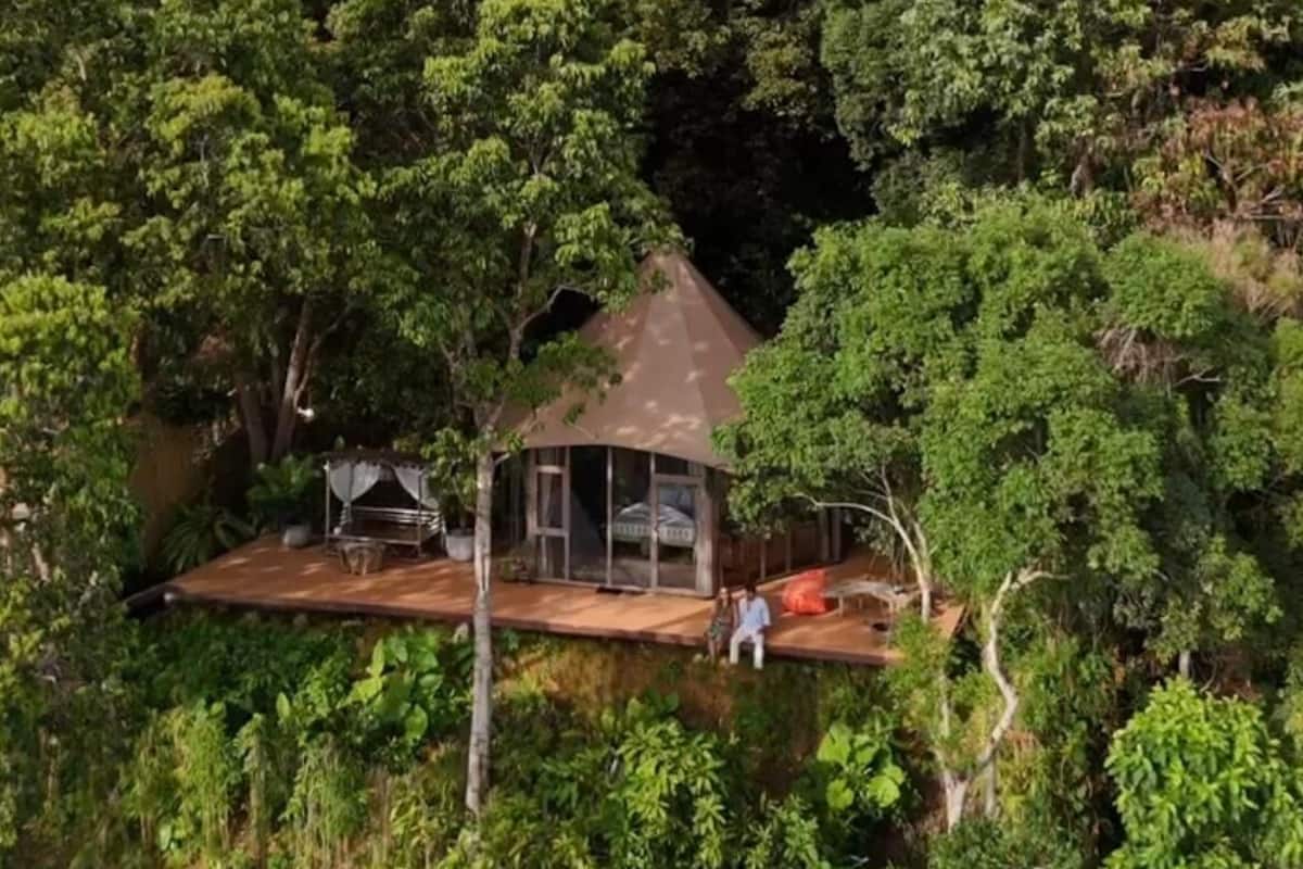 The Jungle Lodge