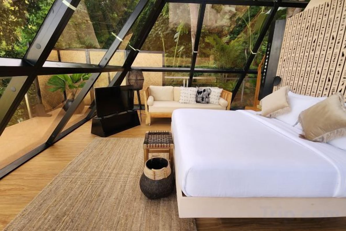 Ropa de cama de alta calidad, edredón, camas con pillow-top y minibar 
