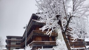 A modern log cabin with a sloped roof, surrounded by snow-covered trees and a wooden fence. - Condominio Giulia by Interhome (Canazei)
