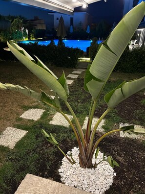 Una piscina al aire libre