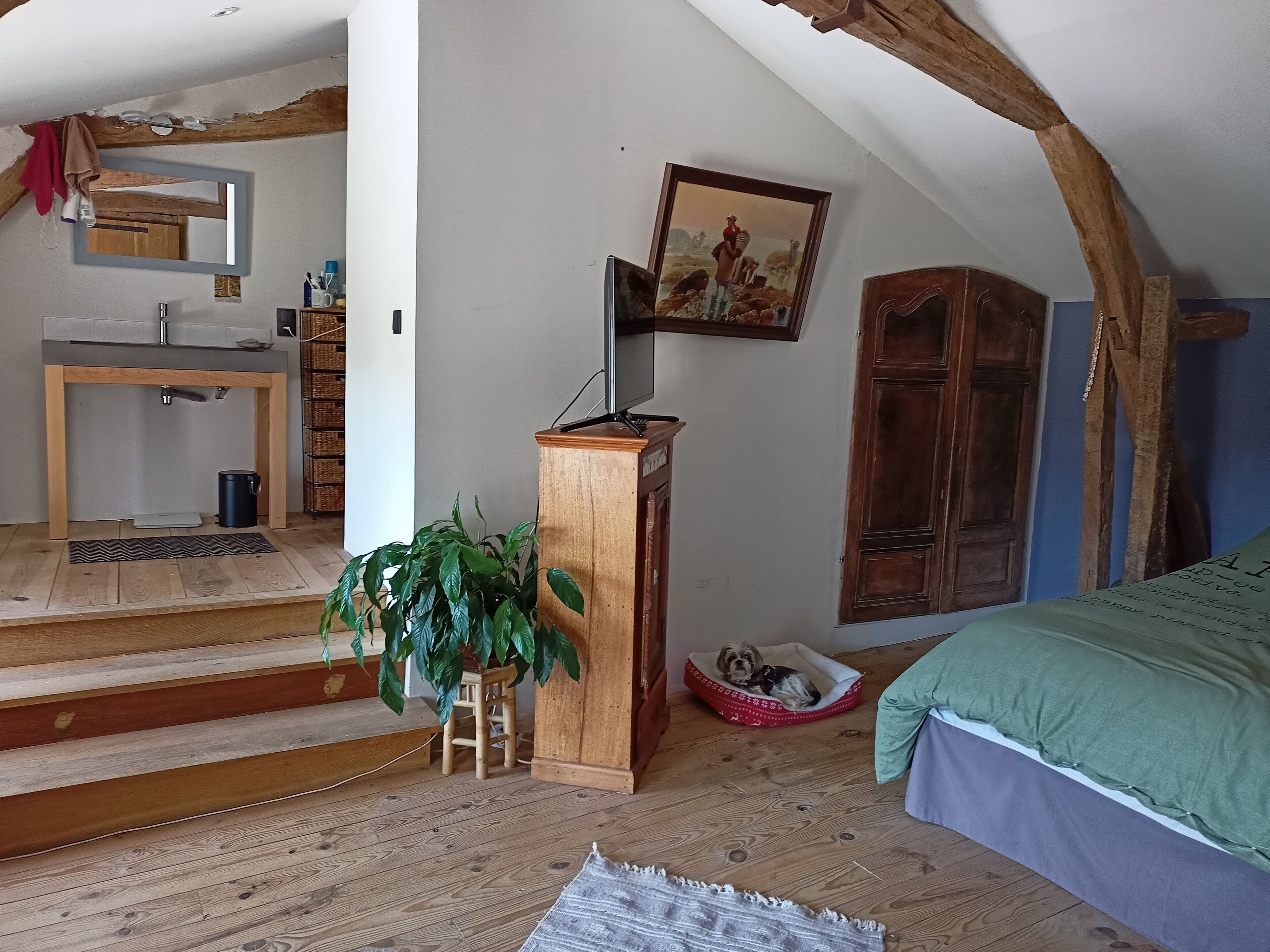 Maison de Charme au Cœur D'un Très Grand Parc Arboré