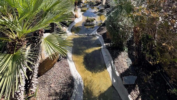 A garden pathway with palm trees and a small water feature. - Botanical 2 Bedroom Bungalow with Com Pool VM33 (Orihuela)