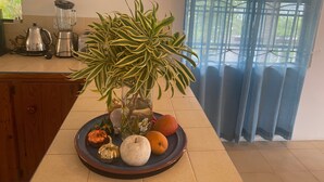 Eine Küchenarbeitsplatte mit einem Blumentopf, einer Obstplatte und Küchengeräten.