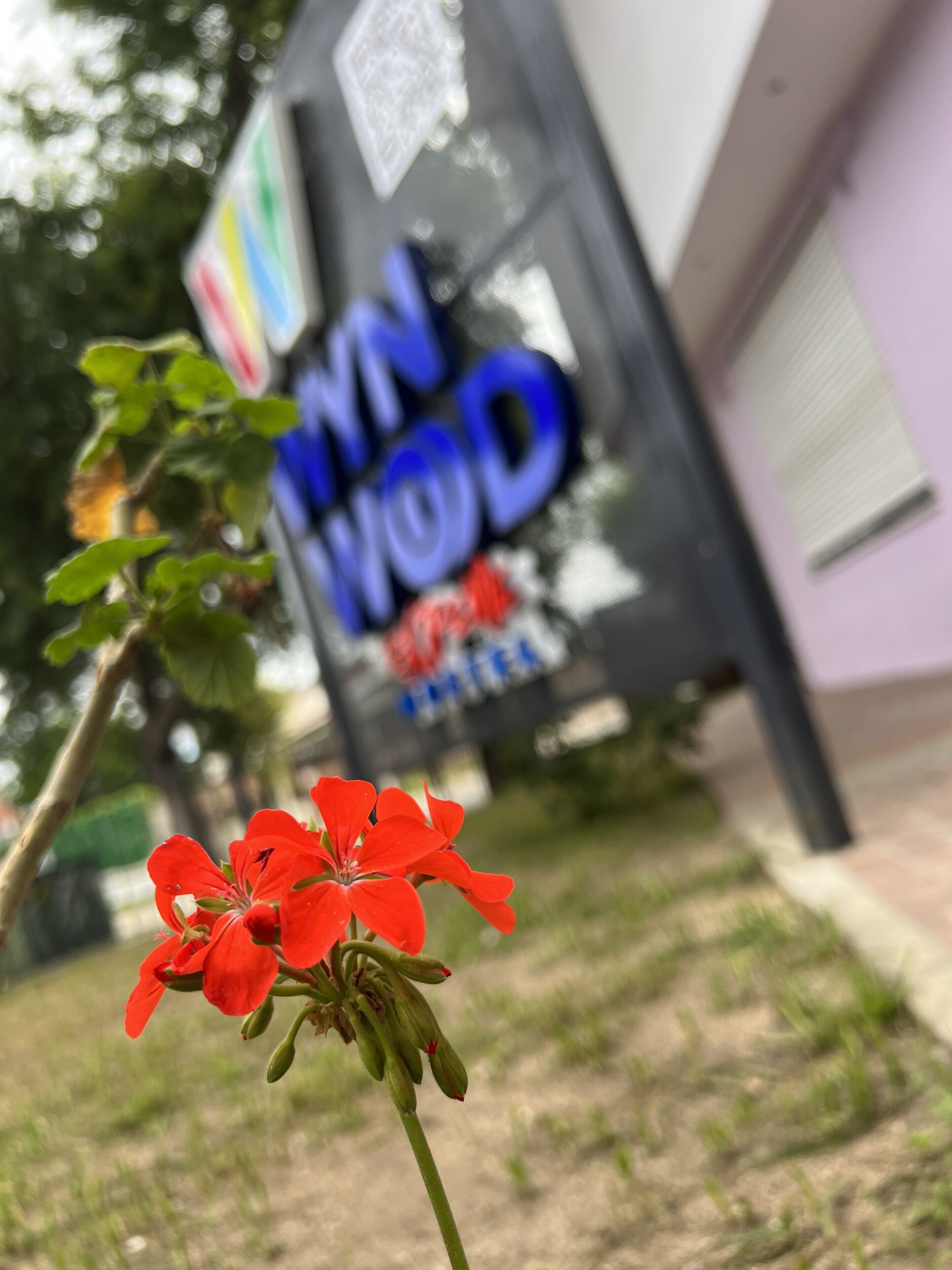 Foto - Wynwood Extreme Hostel