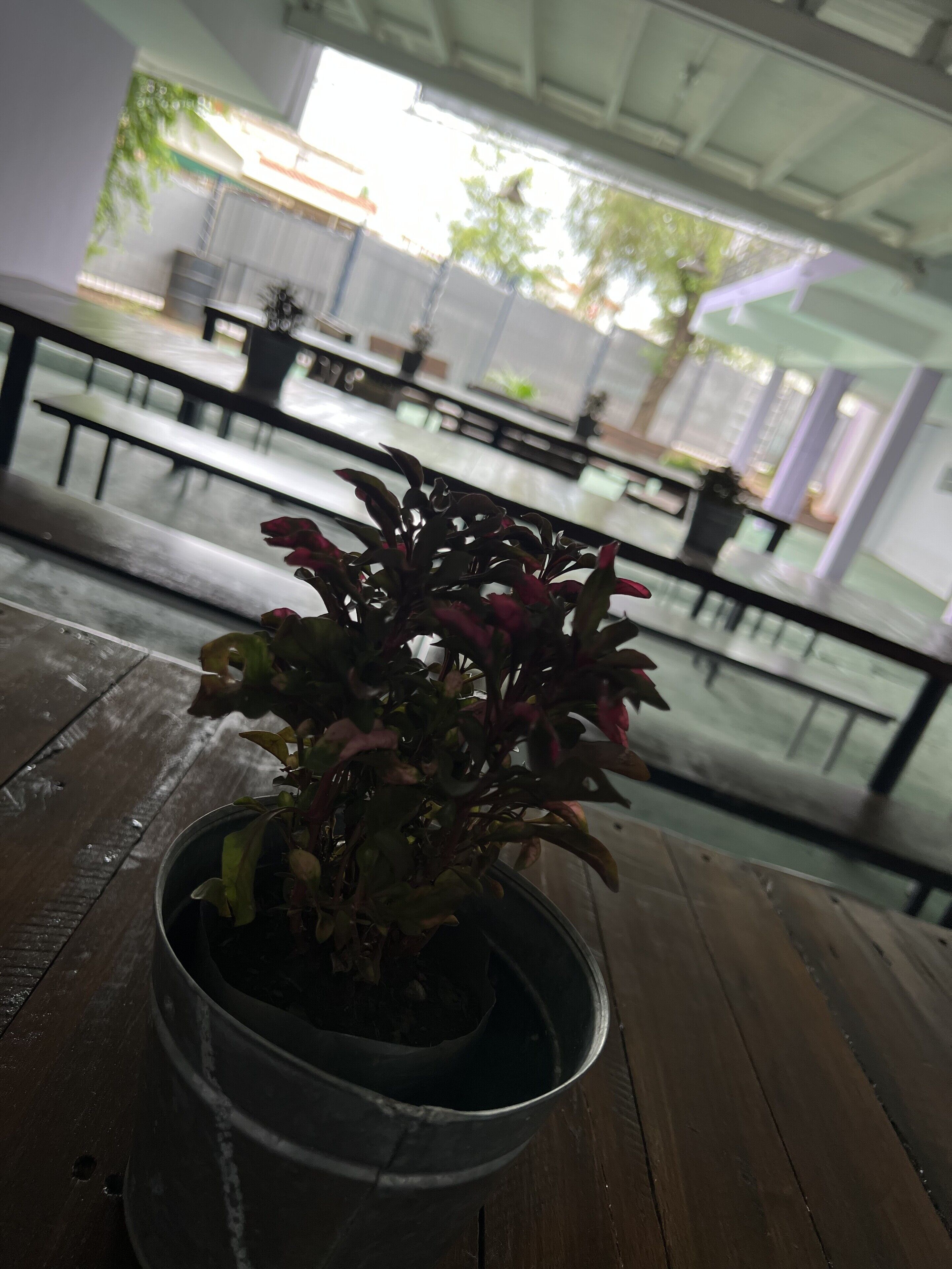 Hostel Wynwood Extreme