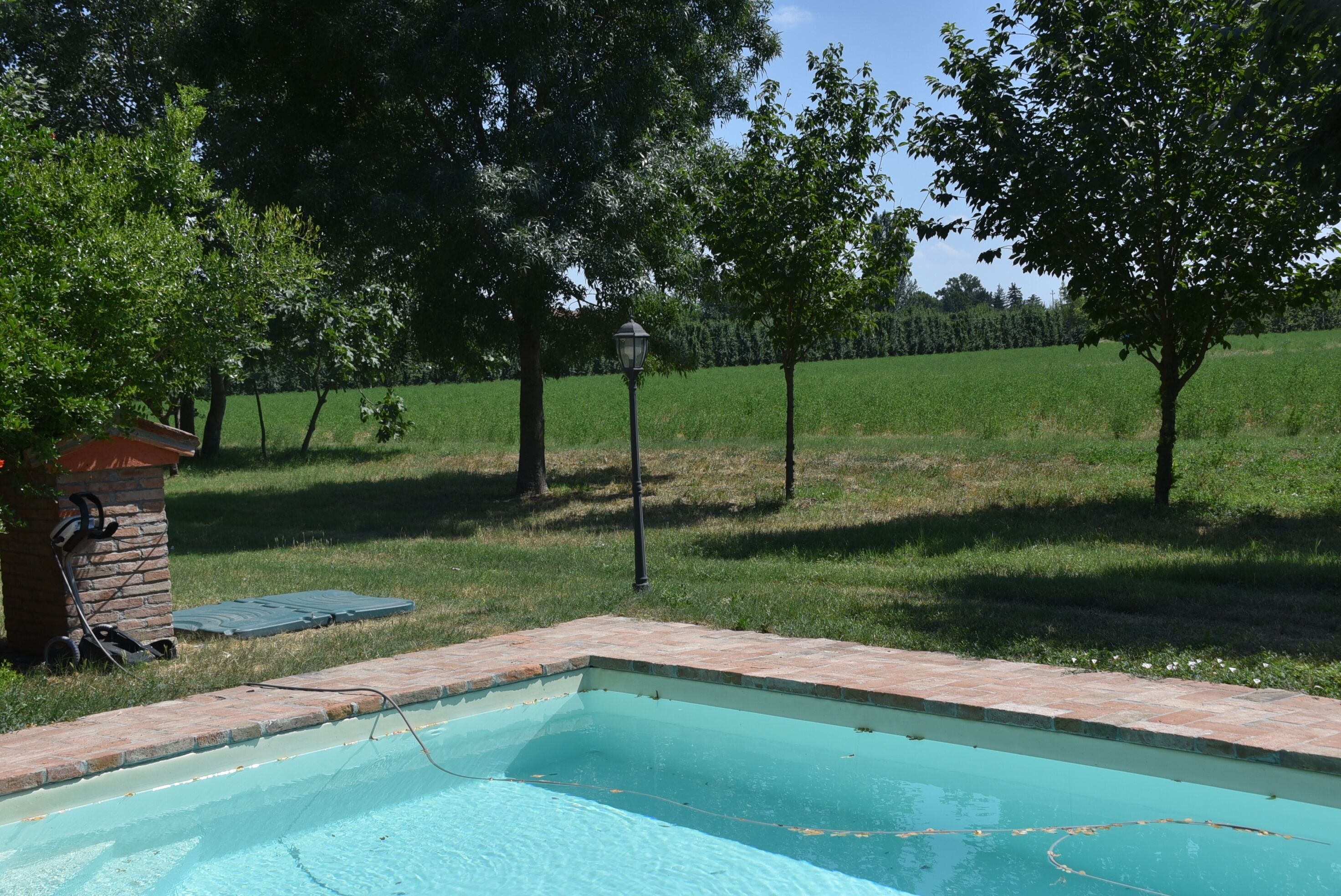 A rectangular swimming pool with a brick edge, surrounded by grass and trees.