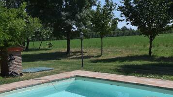 A rectangular swimming pool with a brick edge, surrounded by grass and trees.