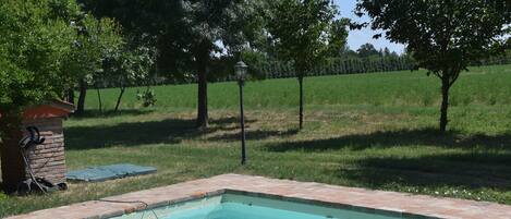 A rectangular swimming pool with a brick edge, surrounded by grass and trees.