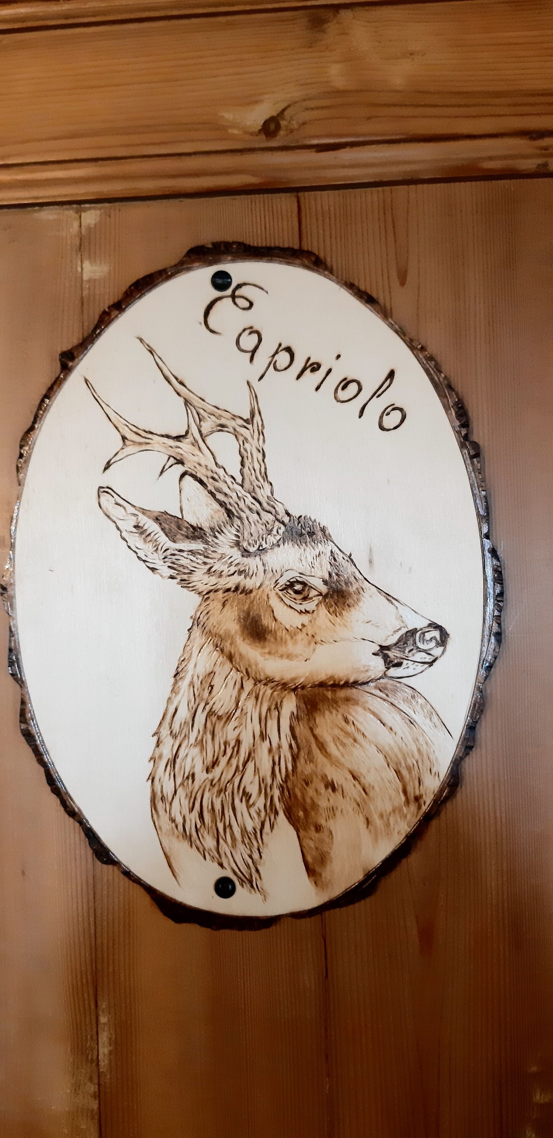 A circular wooden sign with a deer illustration and the name "Capriolo" written on it.