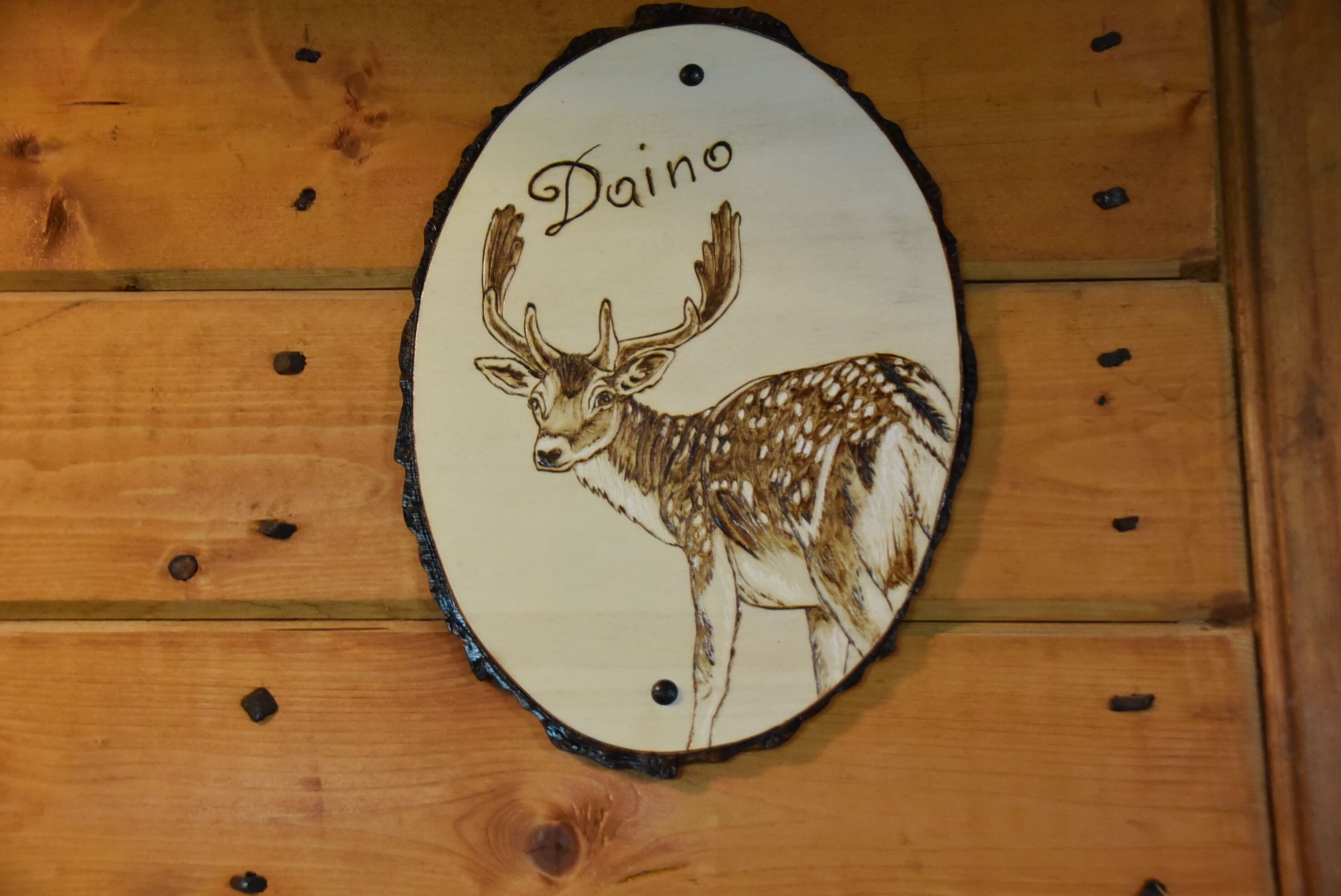 Ein hölzernes Schild mit einer Hirsch-Illustration und dem Schriftzug 'Daino'.
