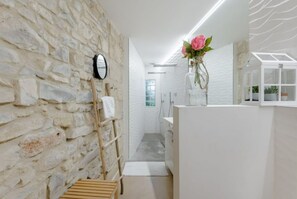 Shower, hair dryer, towels, soap
