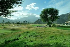 Un parcours de golf avec un grand arbre, un sentier sinueux et une chaîne de montagnes en arrière-plan.