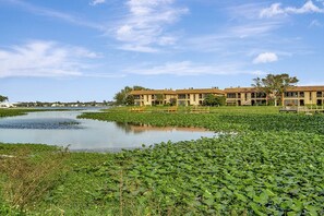 Exterior - The Pool House -Private Heated Pool w Entire House ~ PETS WELCOME! (Largo)