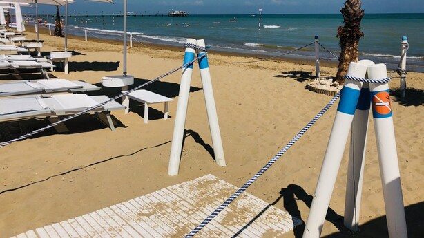 A beach with sun loungers, umbrellas, and a palm tree.