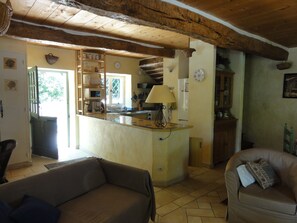 Télévision, cheminée, lecteur de DVD, table de tennis de table