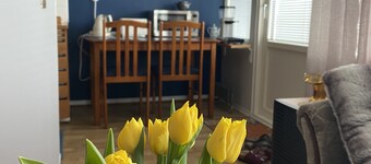 In the hot spot of Vaasa