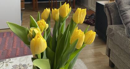 In the hot spot of Vaasa