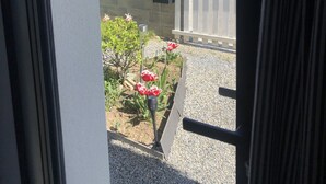 On aperçoit, à travers une porte, une cour avec un chemin de gravier, un petit jardin parsemé de fleurs rouges et une clôture blanche.